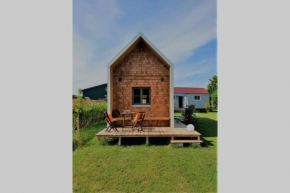 Tiny Loft (Haus) im Südhessischen Ried